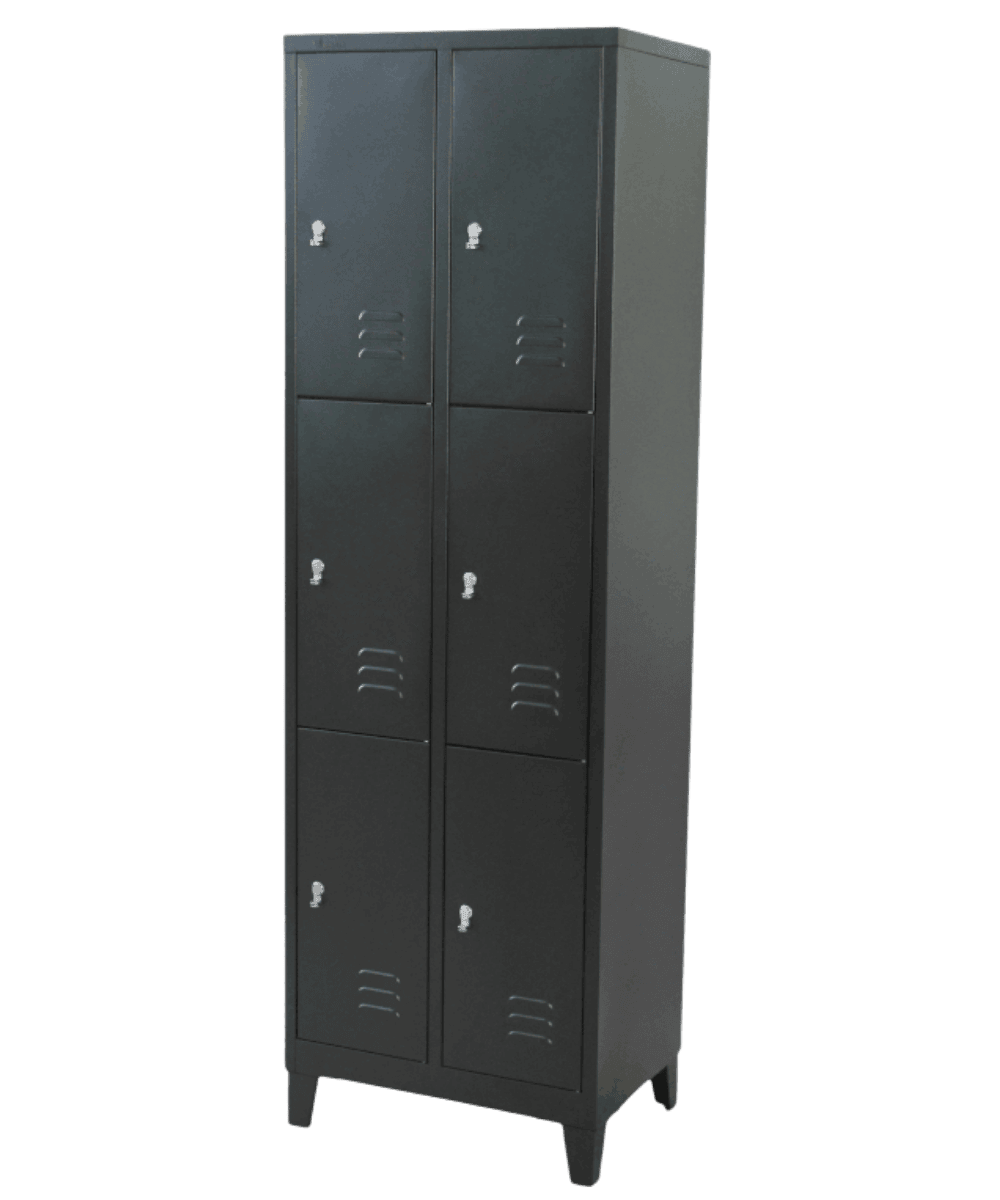 Locker de 6 puertas